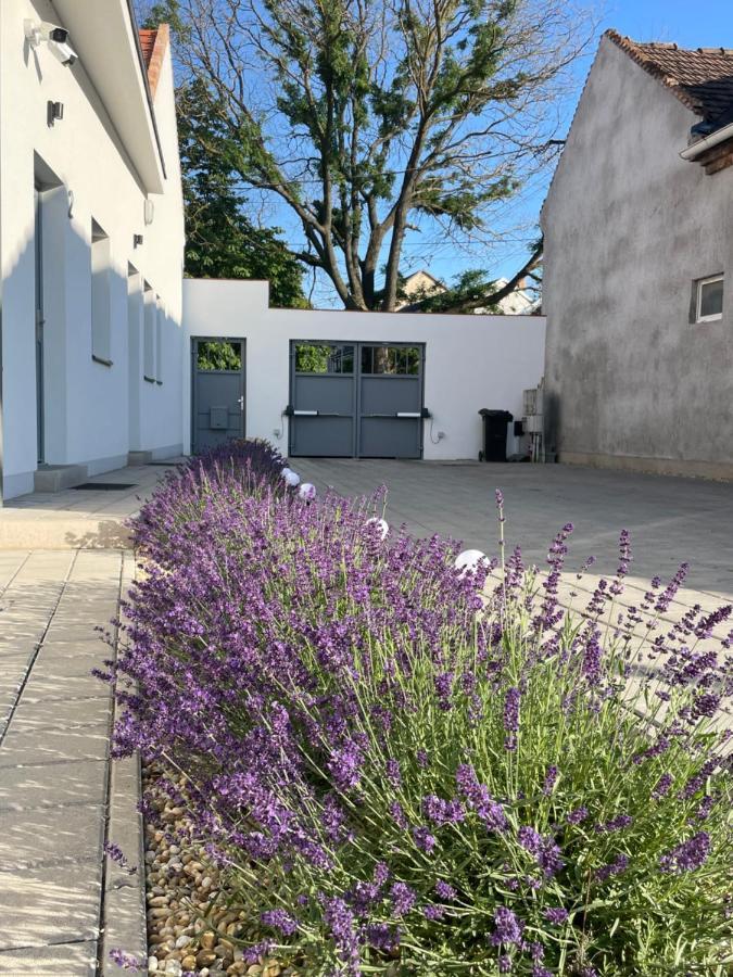 Dream Apartman Level Exterior photo